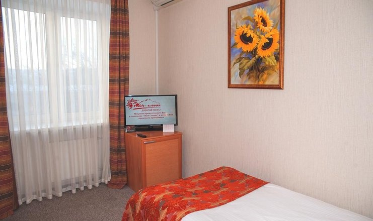 Гостиница «Моя Глинка» Самарская область Стандартный 1-местный, фото 1