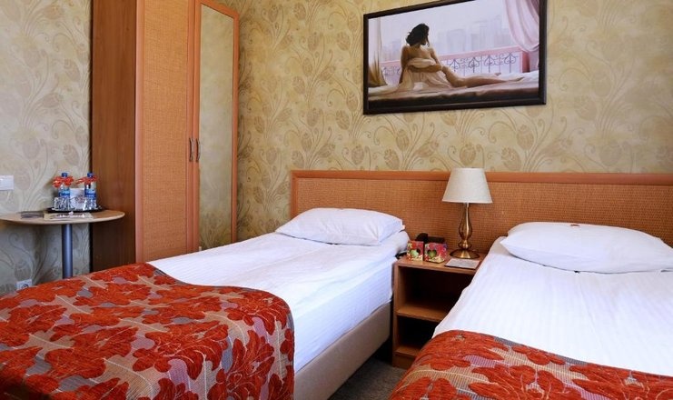 Гостиница «Моя Глинка» Самарская область Стандартный 2-местный TWIN, фото 1