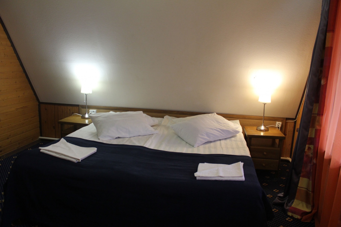 База отдыха «Отрада» Республика Мордовия Стандартный 2-местный номер с двуспальной кроватью, фото 2