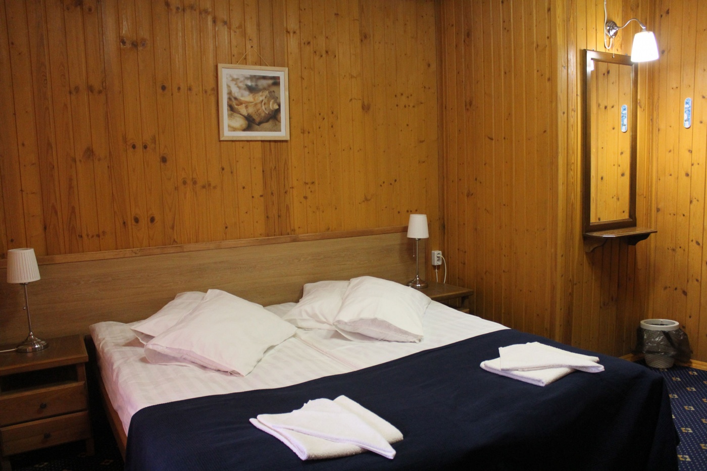 База отдыха «Отрада» Республика Мордовия Стандартный 2-местный номер с одной или двумя кроватями и балконом, фото 2