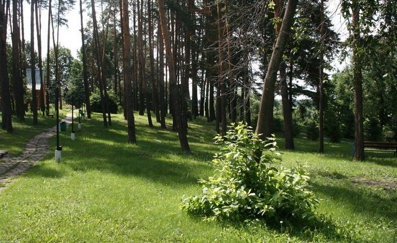 База отдыха «Отрада» Республика Мордовия, фото 14