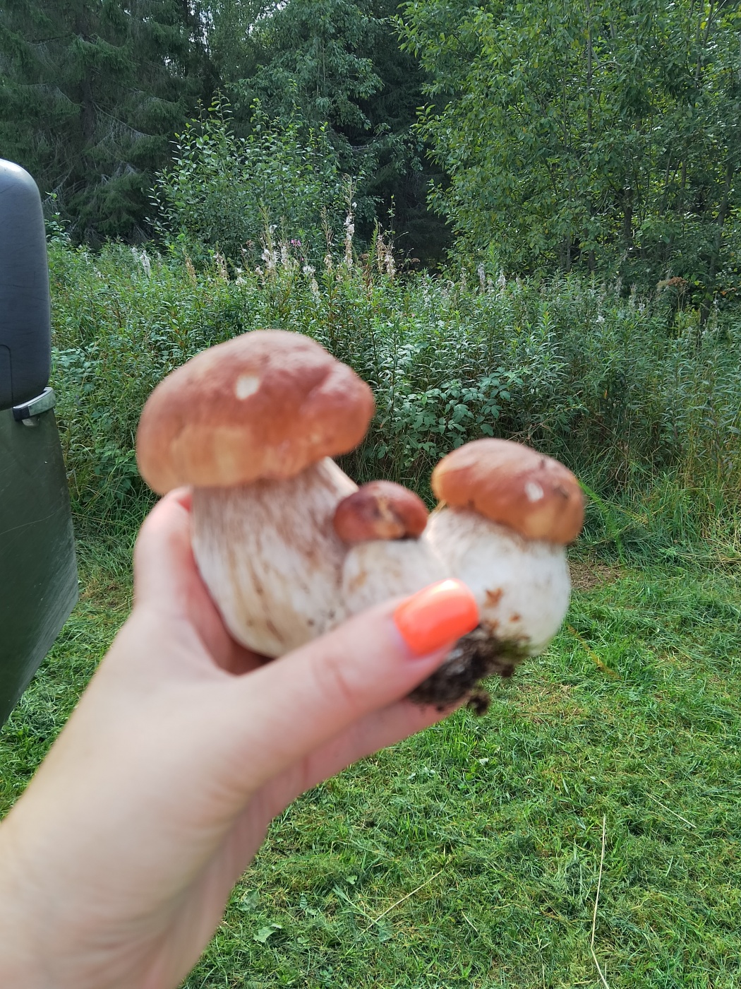 Турбаза «Долгозерье» Ленинградская область, фото 9