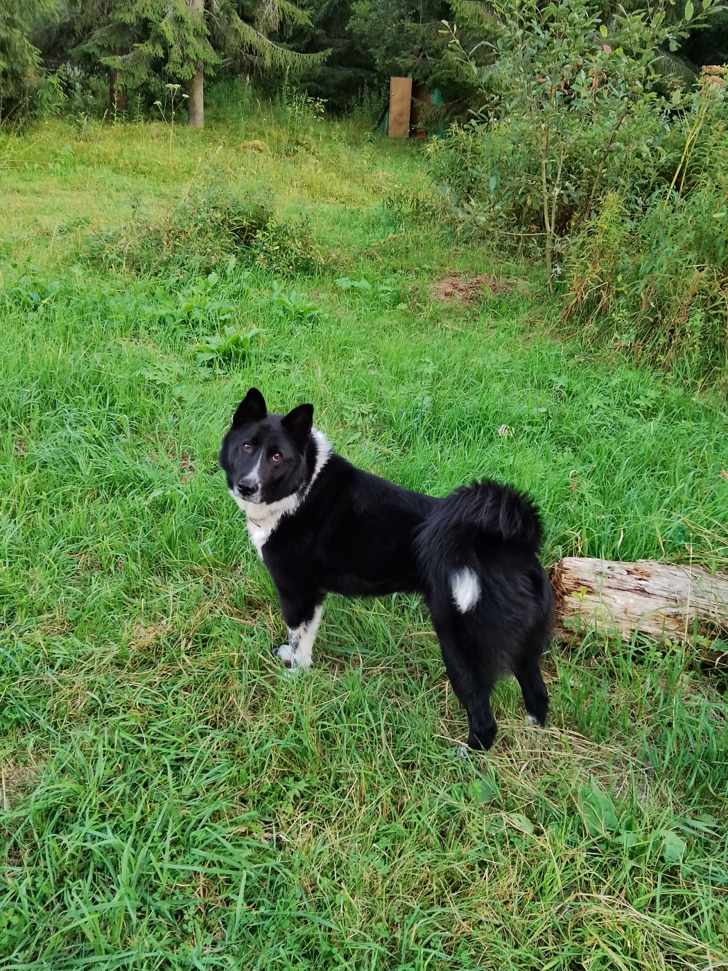 Турбаза «Долгозерье» Ленинградская область, фото 10