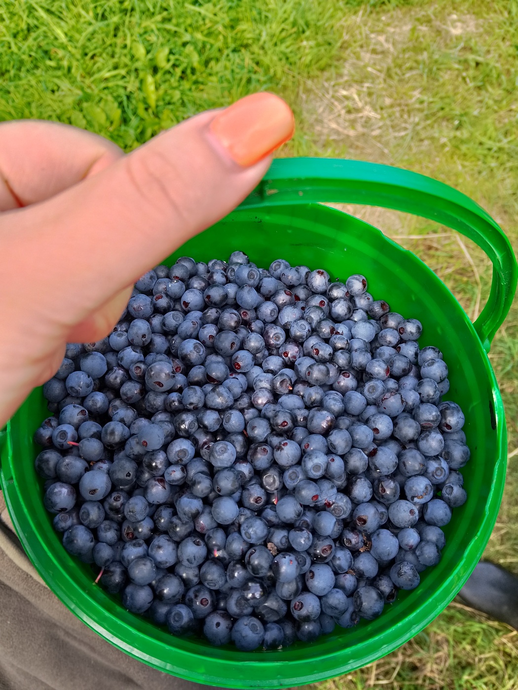 Турбаза «Долгозерье» Ленинградская область, фото 8