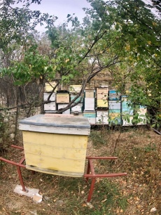  Этнический дом «Высота» Республика Дагестан Апартаменты 7 комнат до 20 чел, фото 15_14