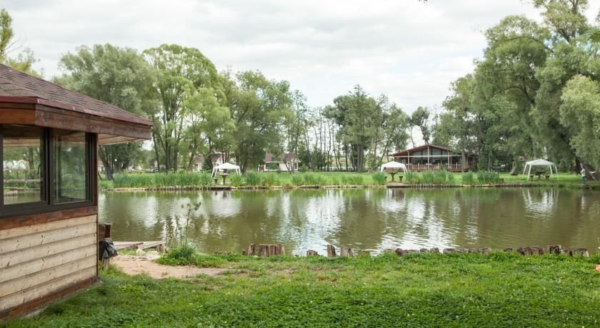 Рыболовная база «Остров» Московская область, фото 6