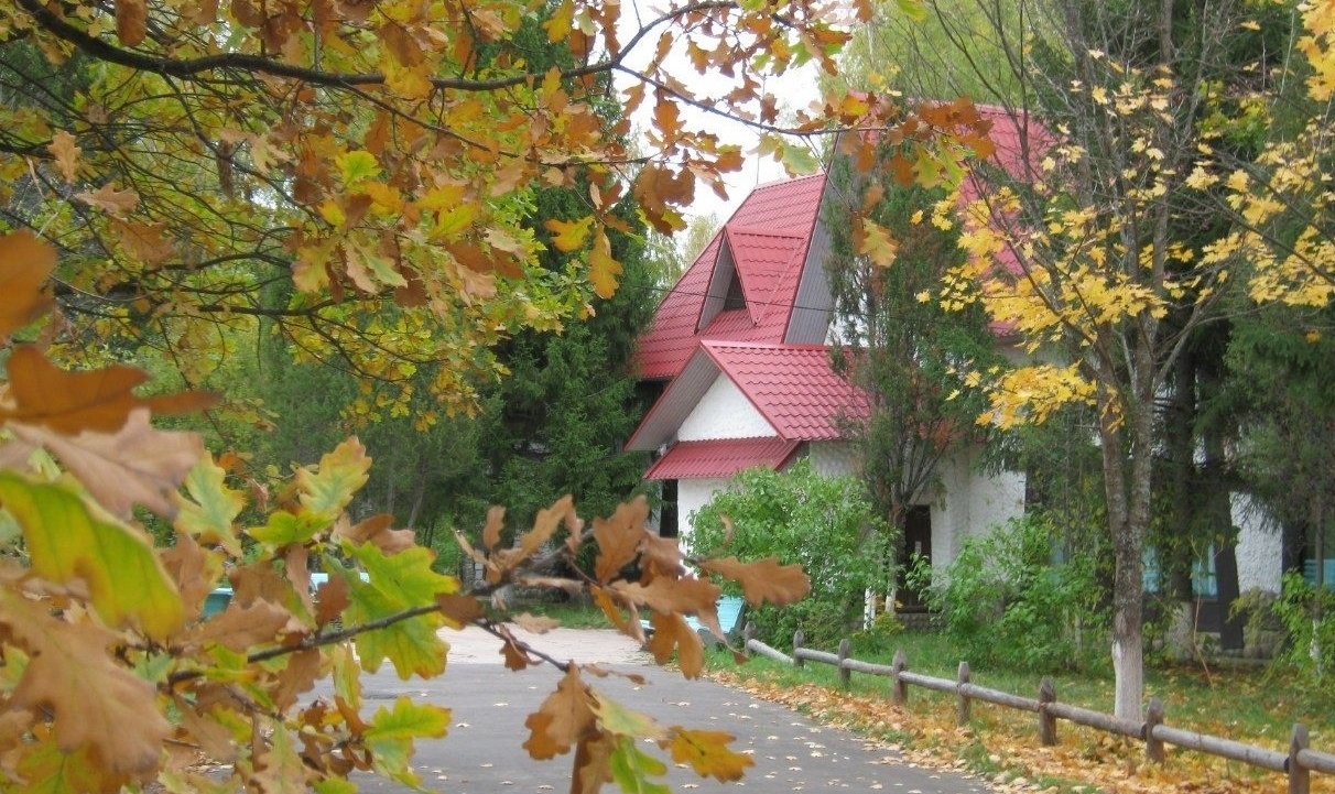 Центр отдыха «Подсолнухи» Нижегородская область, фото 14