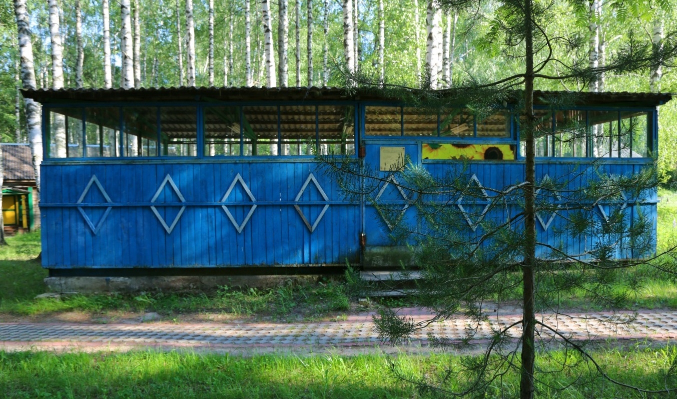 Центр отдыха «Подсолнухи» Нижегородская область, фото 21