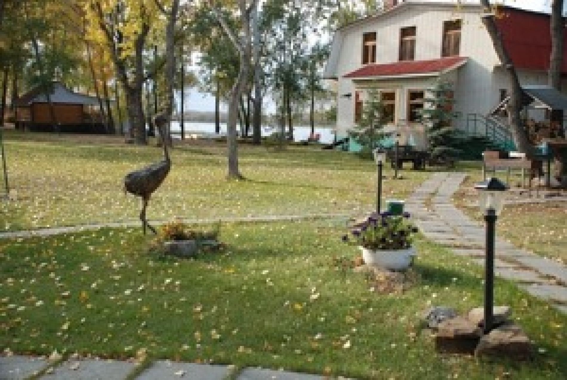 База отдыха «Плёс» Саратовская область, фото 1