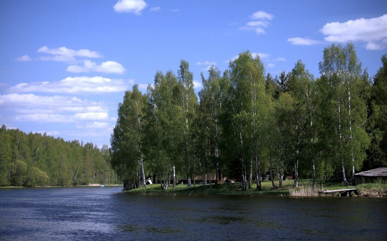 База отдыха «Причудье» Ленинградская область, фото 7