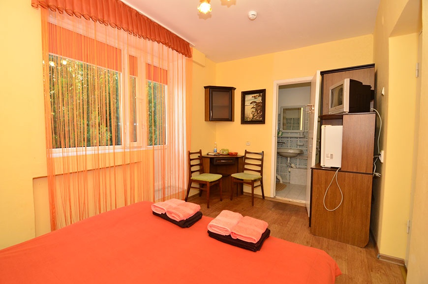 Гостевой дом «Афалина» Республика Крым 2-местный 1-комнатный «Стандарт» с двуспальной кроватью (южная сторона), фото 2