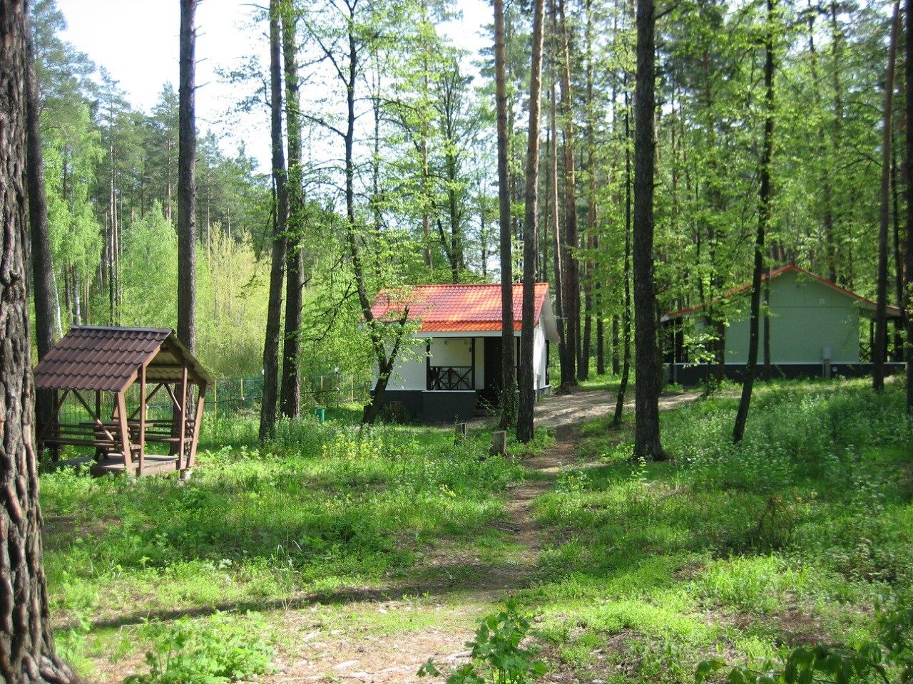  Лесной отель «Ежи» Воронежская область, фото 16
