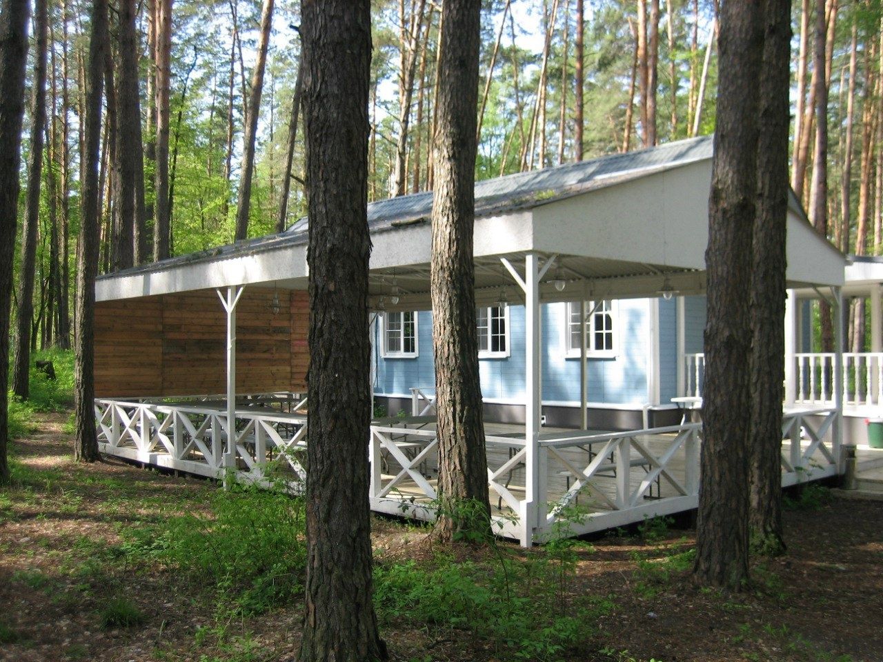  Лесной отель «Ежи» Воронежская область, фото 8