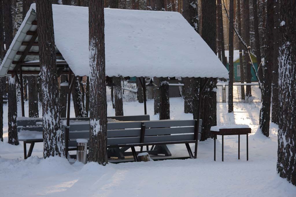  Лесной отель «Ежи» Воронежская область, фото 20