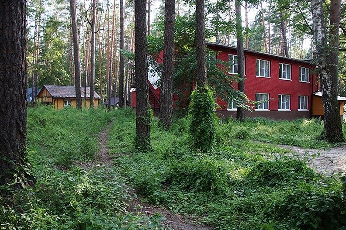  Лесной отель «Ежи» Воронежская область, фото 5