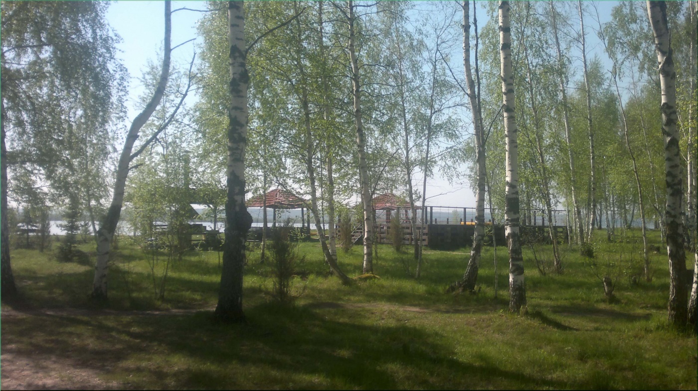 База отдыха «Кедр» Нижегородская область, фото 7