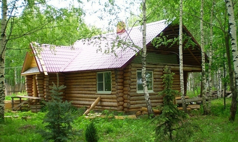 База отдыха «Кедр» Нижегородская область, фото 2