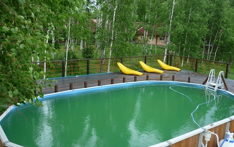 База отдыха «Кедр» Нижегородская область, фото 10