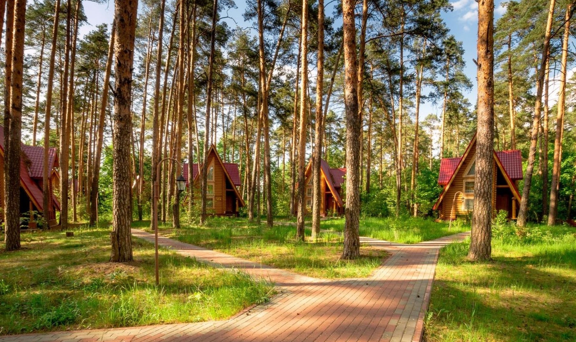 гостиницы в лесу