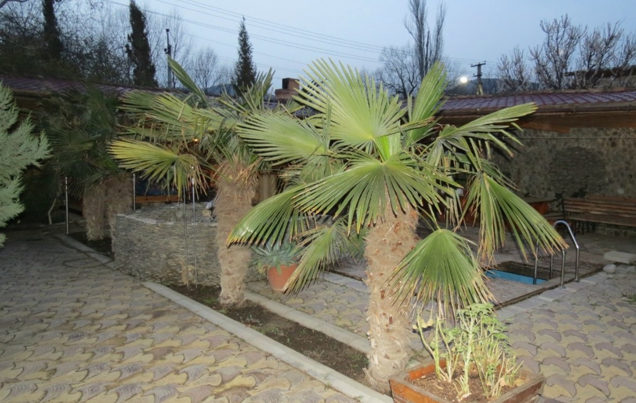 Вилла «Пальма» Республика Крым, фото 5
