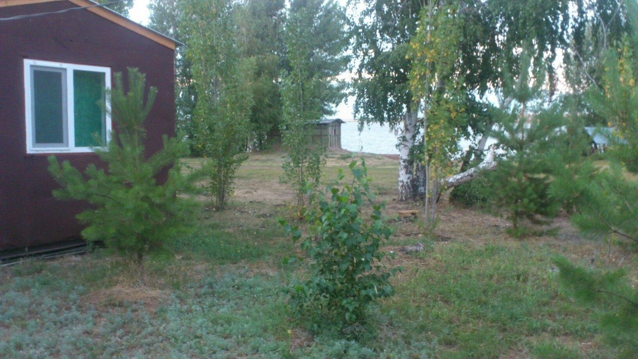 База отдыха «Димитрово» Оренбургская область, фото 7