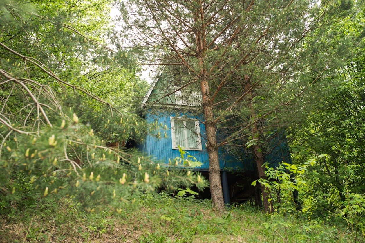 База отдыха «Новый Берег» Нижегородская область, фото 2