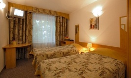 Park Hotel «ZVENIGOROD» (Zvenigorod) Moscow oblast Standart DBL/TWIN-N