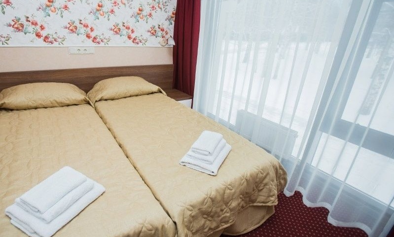 Загородный гостиничный комплекс СПА-отель «Michur Inn» Ленинградская область Номер «Комфорт», фото 4