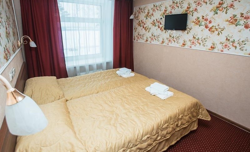 Загородный гостиничный комплекс СПА-отель «Michur Inn» Ленинградская область Номер «Стандарт», фото 2