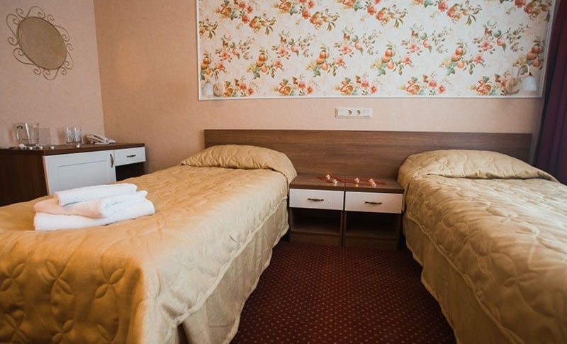 Загородный гостиничный комплекс СПА-отель «Michur Inn» Ленинградская область Номер «Стандарт», фото 3