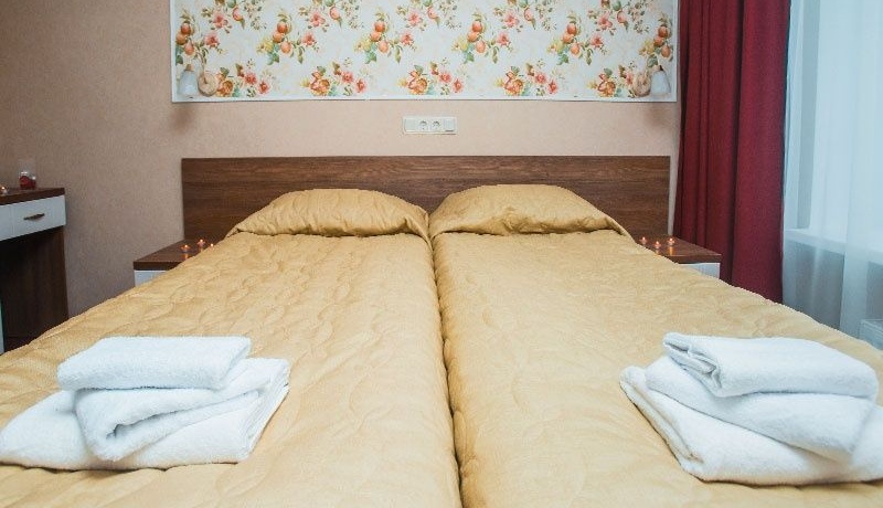 Загородный гостиничный комплекс СПА-отель «Michur Inn» Ленинградская область Номер «Стандарт», фото 4