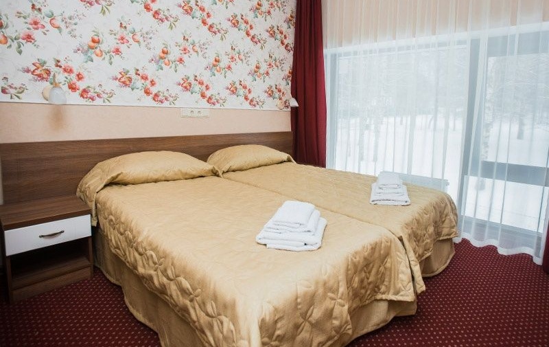 Загородный гостиничный комплекс СПА-отель «Michur Inn» Ленинградская область Номер «Комфорт», фото 1