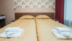 Загородный гостиничный комплекс СПА-отель «Michur Inn» Ленинградская область Номер «Стандарт», фото 4_3