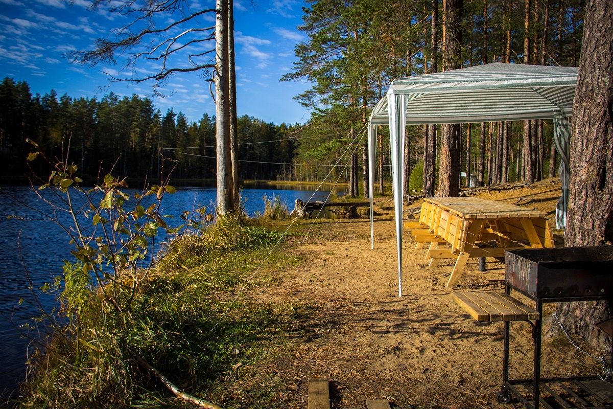 Парк активного отдыха «Greenvald Парк Скандинавия» Ленинградская область, фото 2