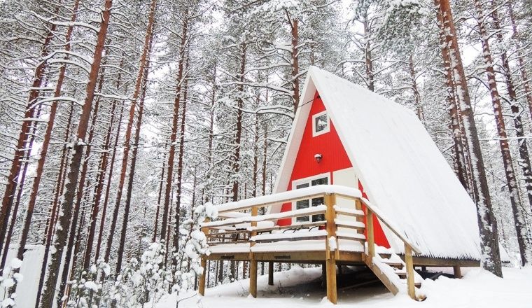 Outdoor activity park «Greenvald Park Skandinaviya» Leningrad oblast 