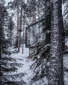 Парк активного отдыха «Greenvald Парк Скандинавия» Ленинградская область Сканди-Хаус , фото 2_1