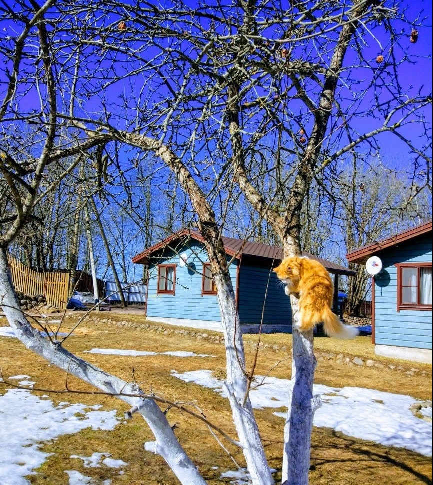 Коттеджный комплекс «Зимняя сказка» Ленинградская область, фото 16