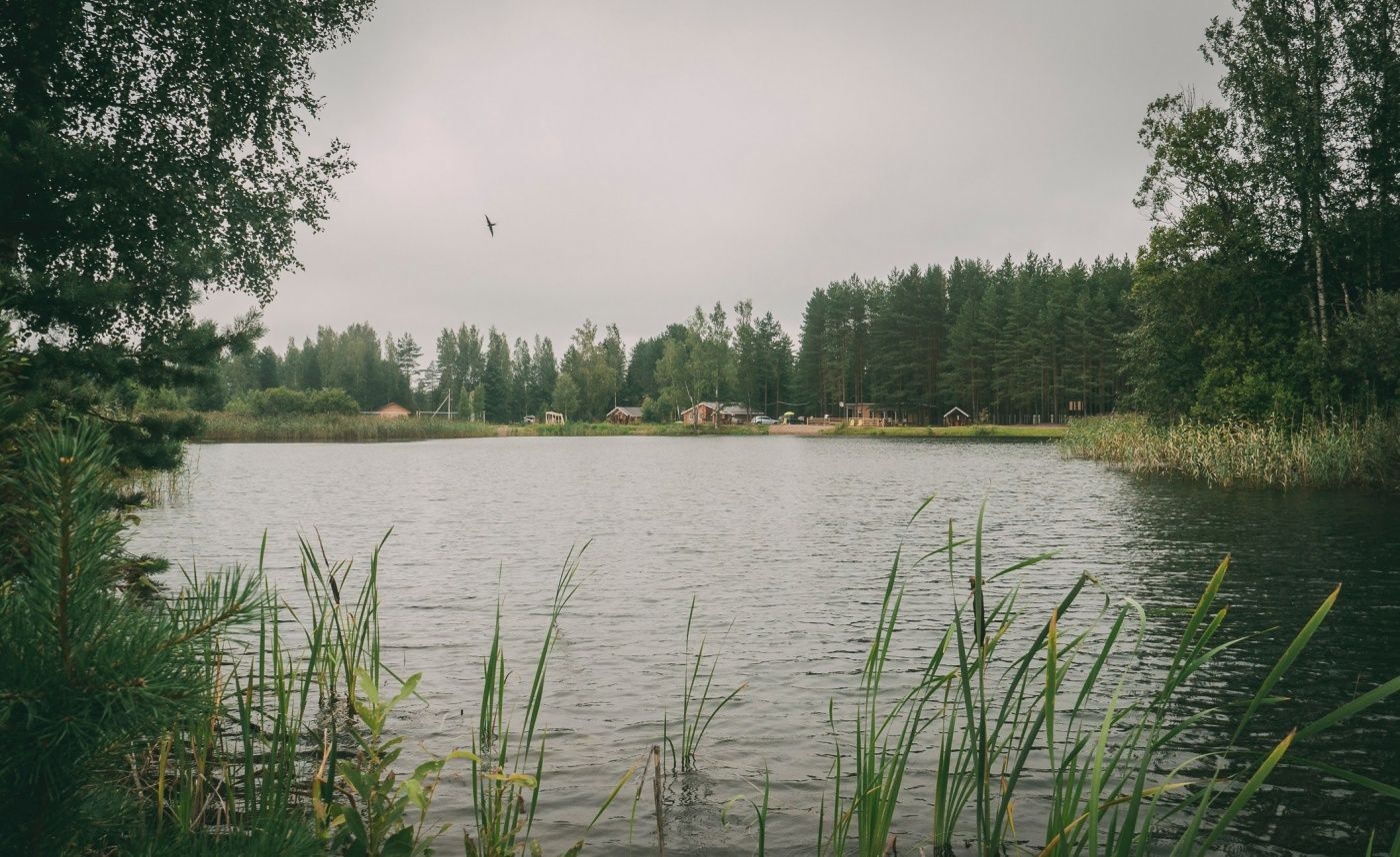 Шапки ленинградская область озера