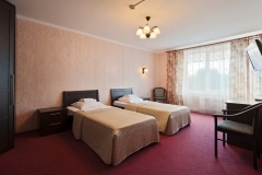 Hotel Moscow oblast Ekonom Plyus 2-mestnyiy
