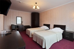 Hotel Moscow oblast Ekonom 2-mestnyiy