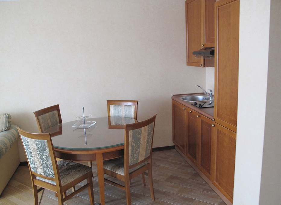 Санаторий «Отрадное» Московская область Номер «Люкс» с мини-кухней, фото 2