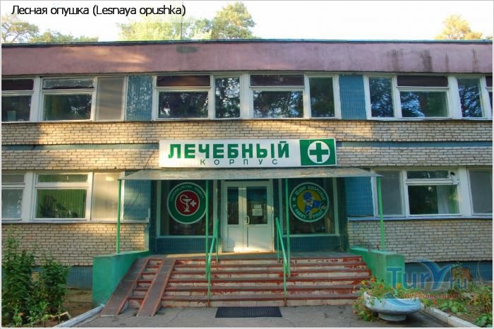  Лечебно-реабилитационный центр «Лесная опушка» Московская область, фото 5