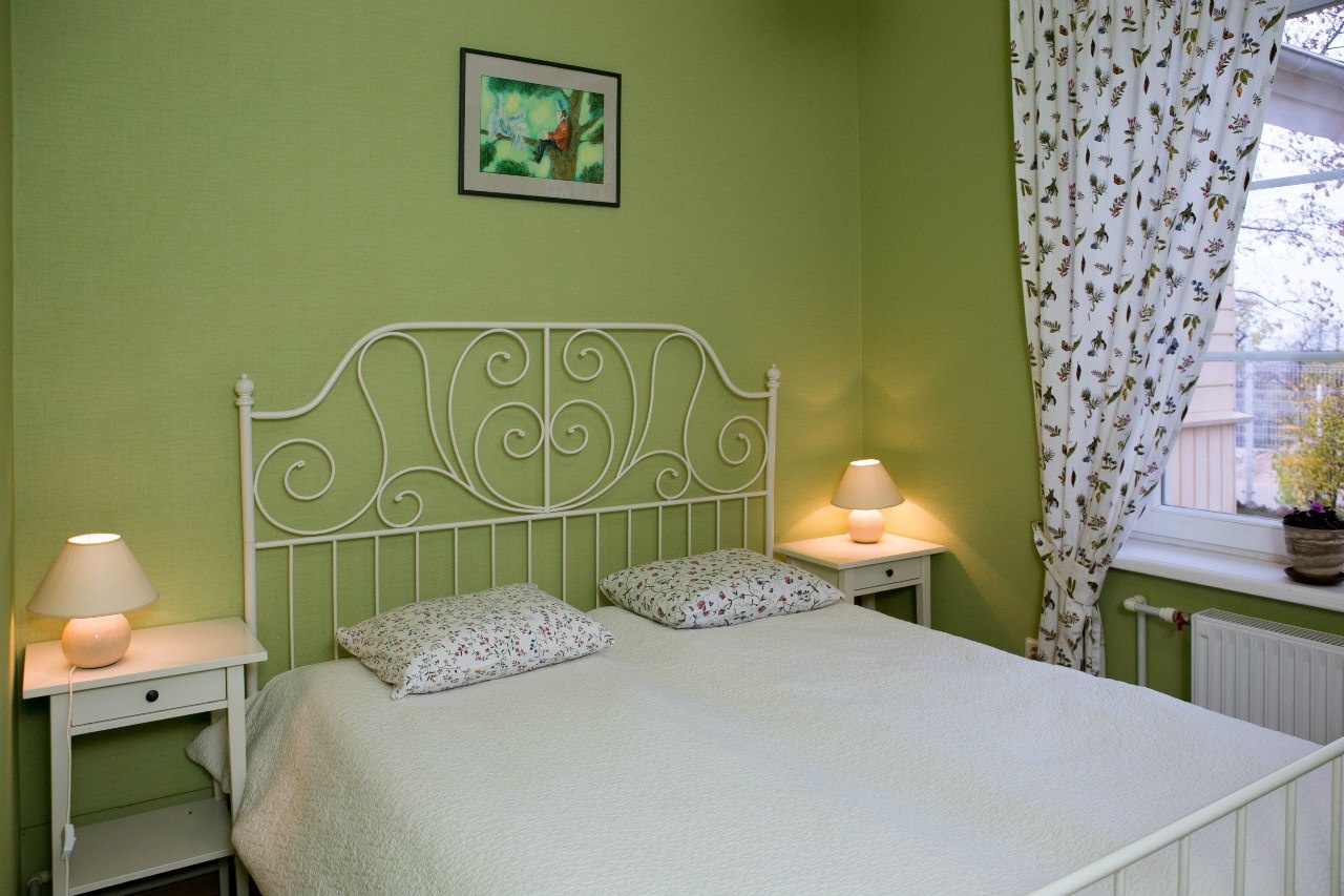  Гостевая усадьба «Тригорская, 1» Псковская область 2-местный номер с двуспальной кроватью (Розовый, Зеленый), фото 3