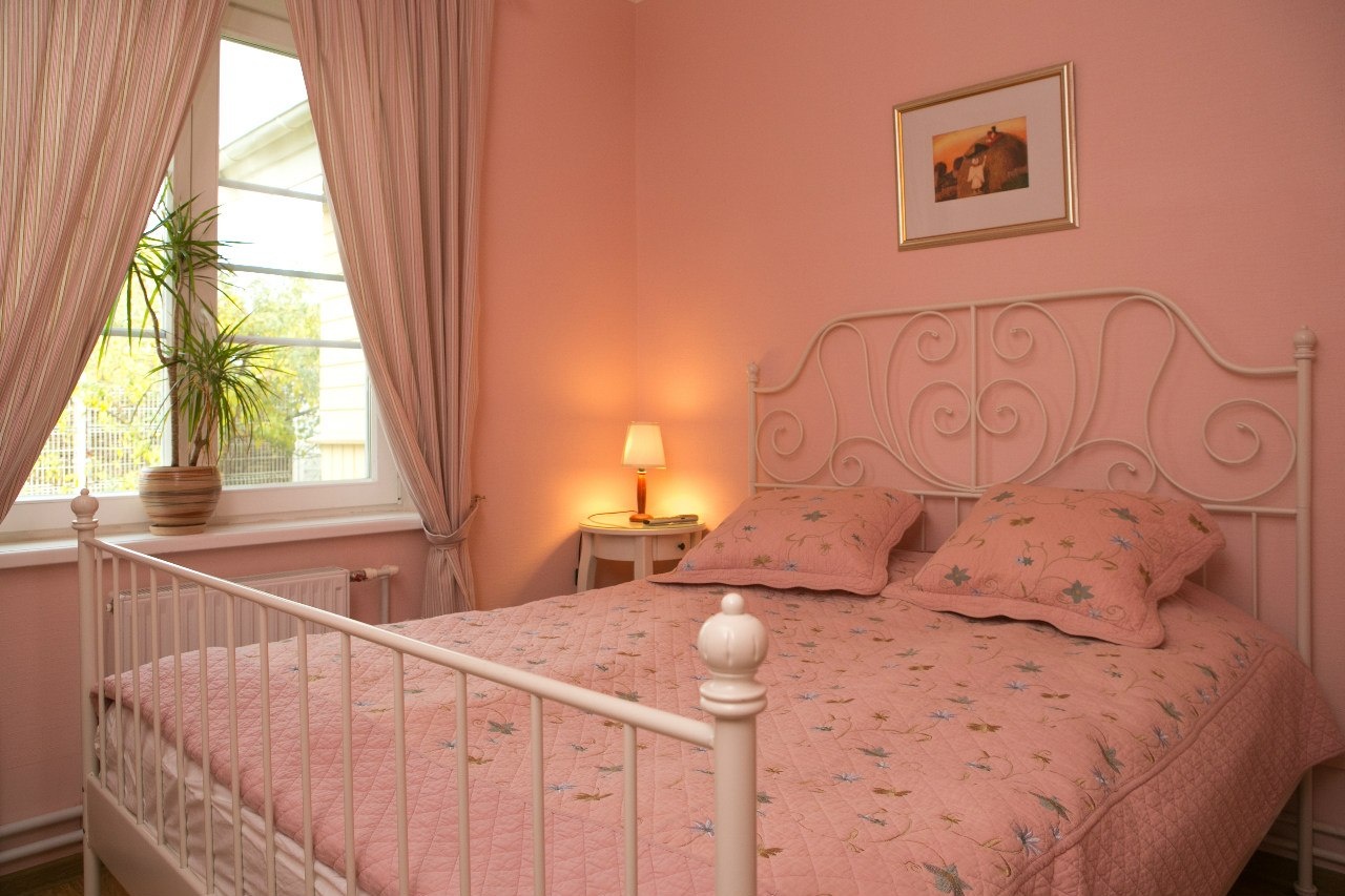  Гостевая усадьба «Тригорская, 1» Псковская область 2-местный номер с двуспальной кроватью (Розовый, Зеленый), фото 1