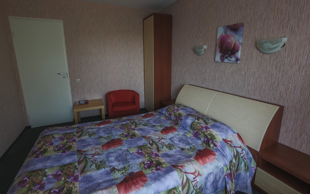 Загородный отель «Волга» Нижегородская область Номер первой категории с двуспальной кроватью, фото 2
