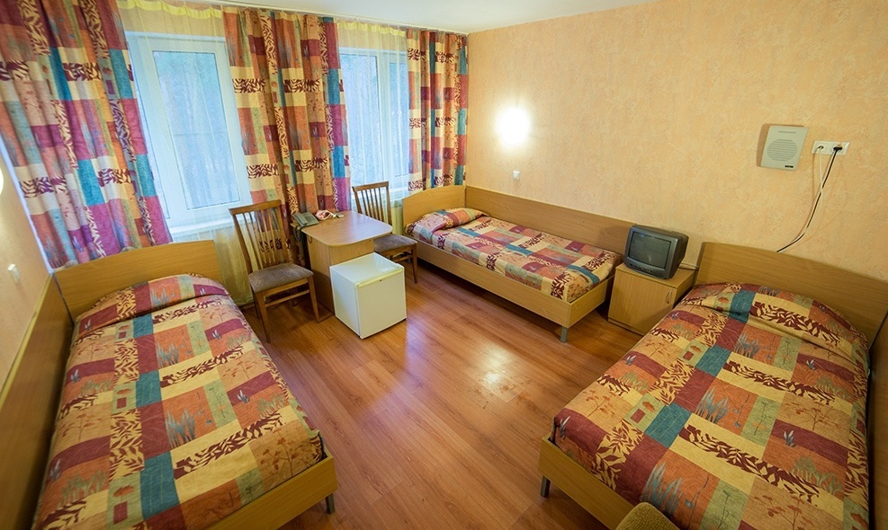 Загородный отель «Волга» Нижегородская область Номер первой категории с дополнительной кроватью, фото 2