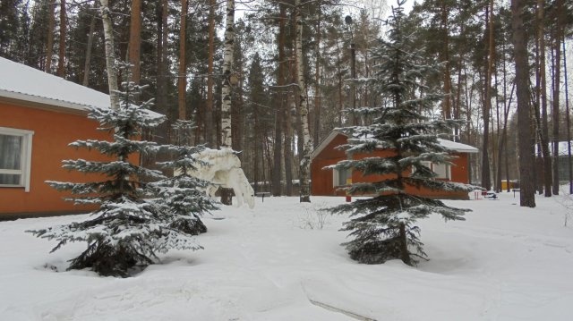 База отдыха «Берёзка» Нижегородская область, фото 3