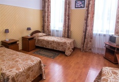 Hotel Ulyanovsk oblast Standart 3-mestnyiy