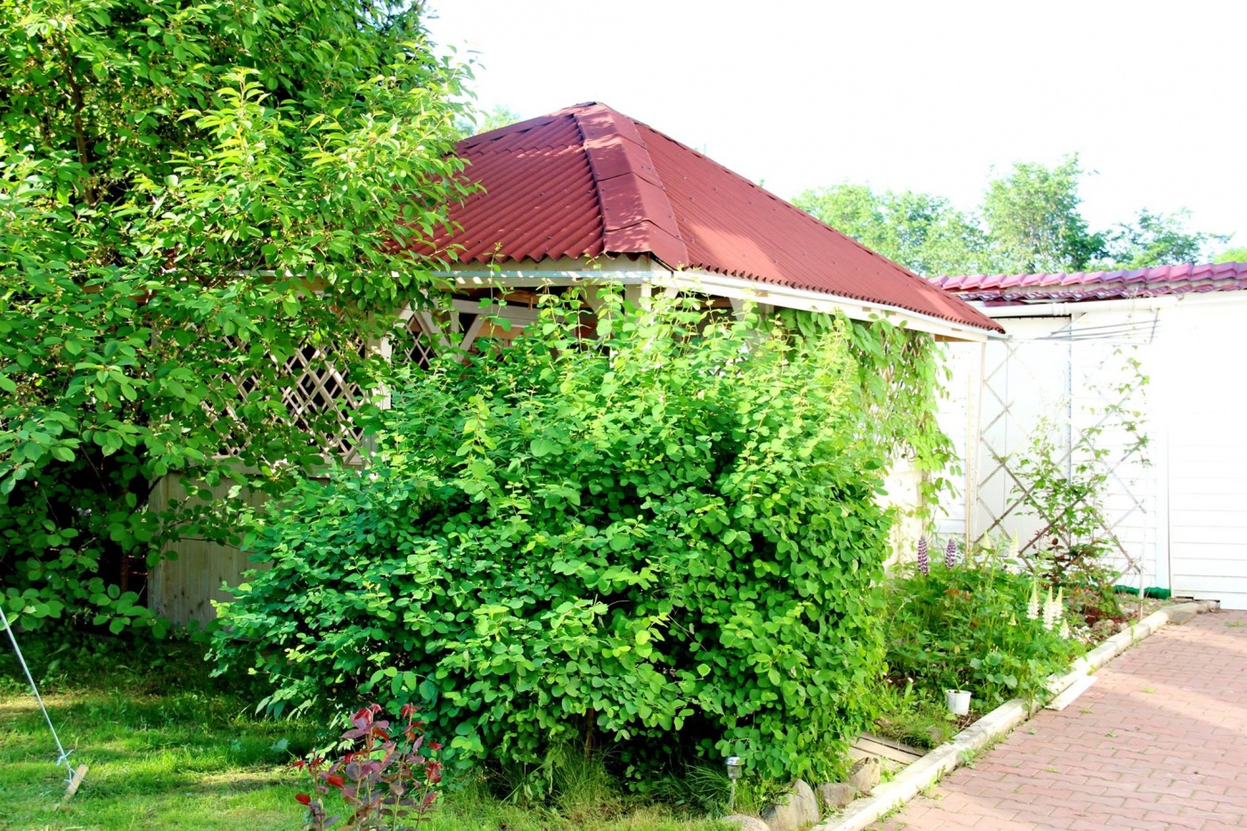  Мини-гостиница «Купеческий дом» Ярославская область, фото 3