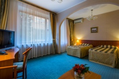 Hotel Moscow oblast Delyuks 2-mestnyiy